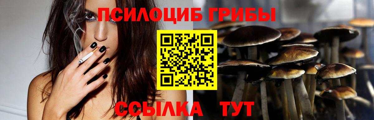 Татарск  купить   Вход с VPN  Галлюциногенные грибы Psilocybe 